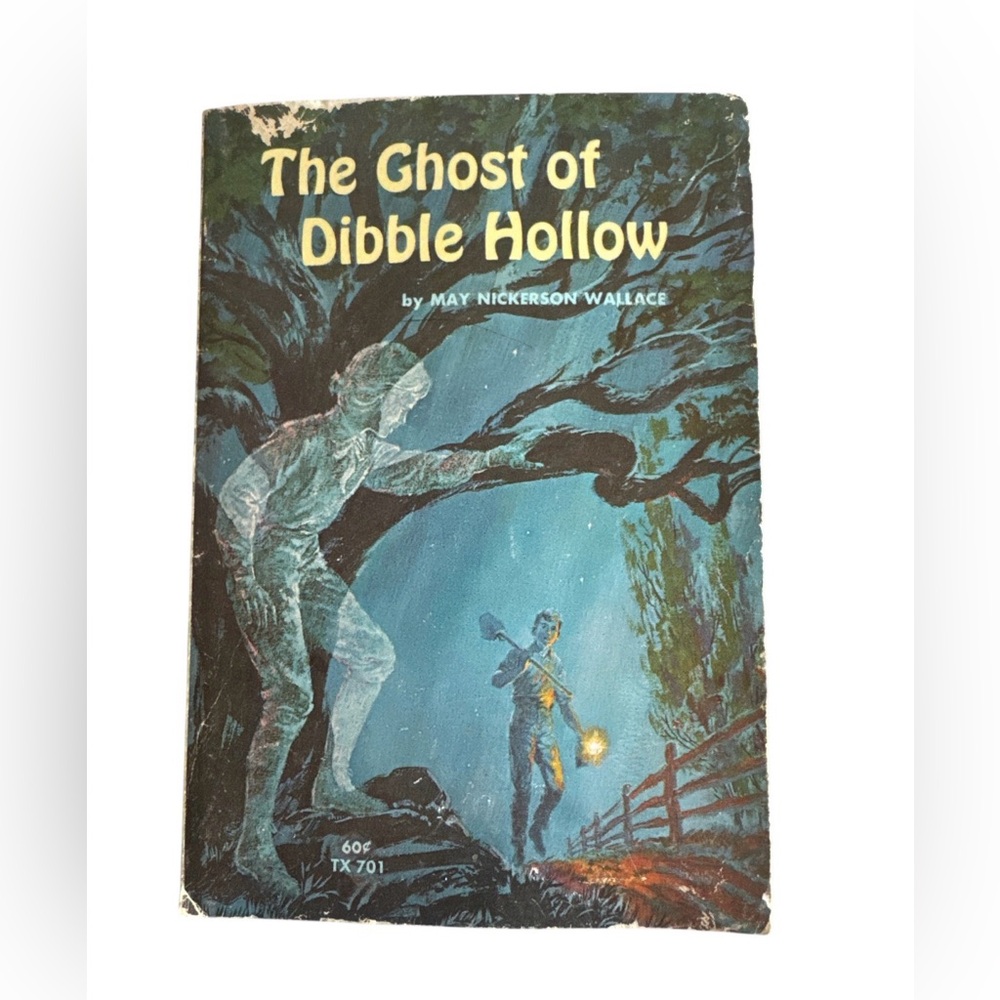 VINTAGE (1965) The Ghost of Dibble Hollow – Children’s Mystery Paperback Novel
